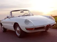 Gebraucht Alfa Romeo Spider Veloce 148 PS (108 kW) 1966 Weiß Cabrio
