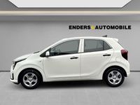 Neu Kia Picanto Edition 7 63 PS (46 kW) 2025 Weiss Kleinwagen