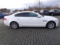 Gebraucht Jaguar XF Pure 179 PS (131 kW) 2019 Fuji white Limousine