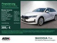 Gebraucht Skoda Octavia Selection 150 PS (110 kW) 2025 Moonweiss metallic Kombi