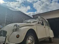 Gebraucht Citroën 2CV 23 PS (16 kW) 1987 Weiß Limousine