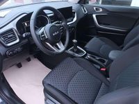 Neu Kia Ceed 140 PS (102 kW) 2025 Kleinwagen