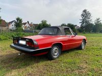 Gebraucht Alfa Romeo Spider 103 PS (75 kW) 1983 Rot Cabrio