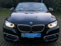 Gebraucht BMW 230 Luxury Line 252 PS (185 kW) 2017 Schwarz Cabrio
