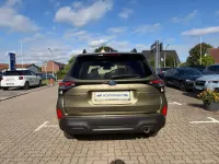 Neu Subaru Forester Active 136 PS (100 kW) 2026 Autumn green SUV
