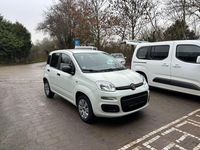 Gebraucht Fiat Panda Pop 69 PS (50 kW) 2019 Weiß Kleinwagen