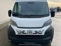 Neu Fiat Ducato 179 PS (131 kW) 2026 Weiß Van