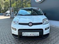 Neu Fiat Panda Icon 65 PS (47 kW) 2026 Weiß Limousine