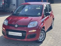 gebraucht Fiat Panda 1.2 8V Allwetterreifen-Radio/CD-ZV-elektr.Fensterheber