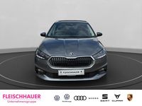 Gebraucht Skoda Fabia Selection 116 PS (85 kW) 2025 Grau Kleinwagen