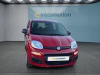 Neu Fiat Panda 65 PS (47 kW) 2025 Rot Kleinwagen