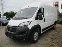 Gebraucht Fiat Ducato 179 PS (131 kW) 2024 Weiss Van