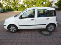 Gebraucht Fiat Panda 60 PS (44 kW) 2008 Weiß Kleinwagen