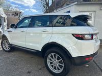 Gebraucht Land Rover Range Rover evoque 150 PS (110 kW) 2016 Weiß SUV