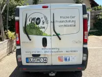 Gebraucht Renault Trafic 90 PS (66 kW) 2008 Weiß Van / Kleinbus