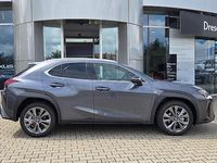 Neu Lexus UX 300h Sport Design Packet 199 PS (146 kW) 2026 Grau SUV