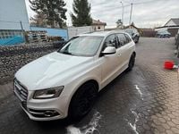 Gebraucht Audi SQ5 326 PS (239 kW) 2016 Weiß SUV