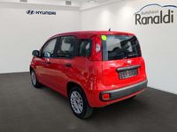 gebraucht Fiat Panda 8VEU6d-T Easy 1.2 8V++Wenige KM!++PDC++