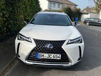Gebraucht Lexus UX 184 PS (135 kW) 2020 Weiß SUV