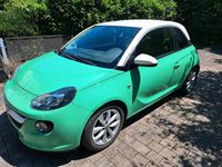 Gebraucht Opel Adam Jam 87 PS (63 kW) 2015 Grün Kleinwagen