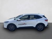 Gebraucht Ford Kuga Cool & Connect 120 PS (88 kW) 2024 Weiß SUV