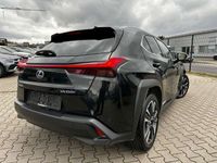 gebraucht Lexus UX 250h 4WD Executive Mark Levinson