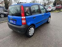 Gebraucht Fiat Panda Active 54 PS (39 kW) 2006 Bossa nova blau Kleinwagen