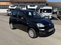 Gebraucht Fiat Panda 69 PS (50 kW) 2014 Schwarz Kleinwagen