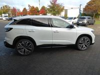 Neu Renault Austral Techno 131 PS (96 kW) 2025 Perlmuttweiß SUV