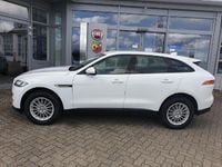 Gebraucht Jaguar F-Pace Pure 179 PS (131 kW) 2016 Weiß SUV
