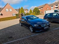 Gebraucht Mercedes E220 194 PS (142 kW) 2017 Blau Kombi