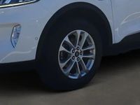 Gebraucht Ford Kuga Titanium X 224 PS (164 kW) 2022 Frostweiß SUV