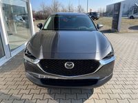 Gebraucht Mazda CX-30 Selection 186 PS (136 kW) 2023 Grau SUV