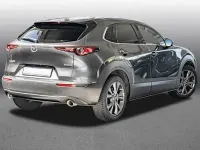 Gebraucht Mazda CX-30 Selection 180 PS (132 kW) 2021 Grau SUV