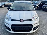 Gebraucht Fiat Panda More 69 PS (50 kW) 2017 Weiß Kleinwagen