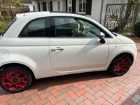 gebraucht Fiat 500 weiß, Panoramadach