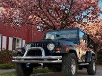 Gebraucht Jeep Wrangler Sport 169 PS (124 kW) 1999 Violet SUV