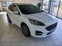 Gebraucht Ford Kuga ST-Line X 150 PS (110 kW) 2023 Frostweiß SUV