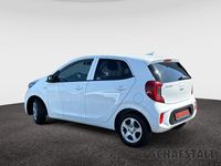 Gebraucht Kia Picanto Vision 67 PS (49 kW) 2024 Weiss ((ud) schneeweiss) Kleinwagen