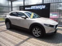 Gebraucht Mazda CX-30 Exclusive 140 PS (102 kW) 2025 Beige SUV