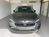 Nowe Skoda Scala Selection 116 KM (85 kW) 2026 Szary Hatchback