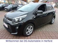 Gebraucht Kia Picanto Vision 67 PS (49 kW) 2024 Schwarz Kleinwagen