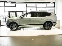 Gebraucht Hyundai Ioniq 9 225 kW (307 PS) 2026 Celadon grey / met SUV