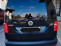 Gebraucht VW Caddy 102 PS (75 kW) 2015 Schwarz Van / Kleinbus