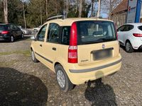 Gebraucht Fiat Panda 60 PS (44 kW) 2010 Gelb Kleinwagen