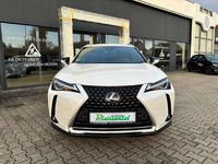 Gebraucht Lexus UX 250h 184 PS (135 kW) 2022 Sonic white SUV