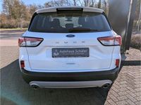 Gebraucht Ford Kuga Cool & Connect 151 PS (111 kW) 2023 Frostweiß SUV