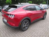 Gebraucht Ford Mustang Mach-E Standard Range 197 kW (269 PS) 2022 Lucidrot SUV