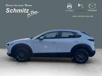 Gebraucht Mazda CX-30 Prime-Line 140 PS (102 kW) 2025 Weiss SUV