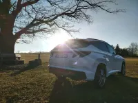 Gebraucht Hyundai Tucson N Line 150 PS (110 kW) 2023 SUV